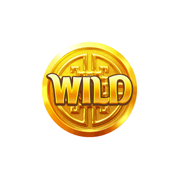 Wild Symbol