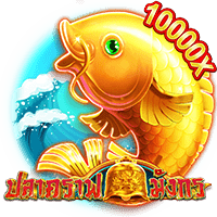 ปลาคราฟ มังกร 1 ปลาคราฟ มังกร