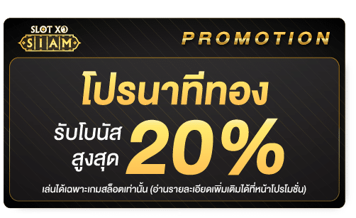 นาทีทอง 20%